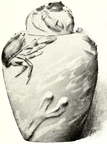 Illustration, sida 625
