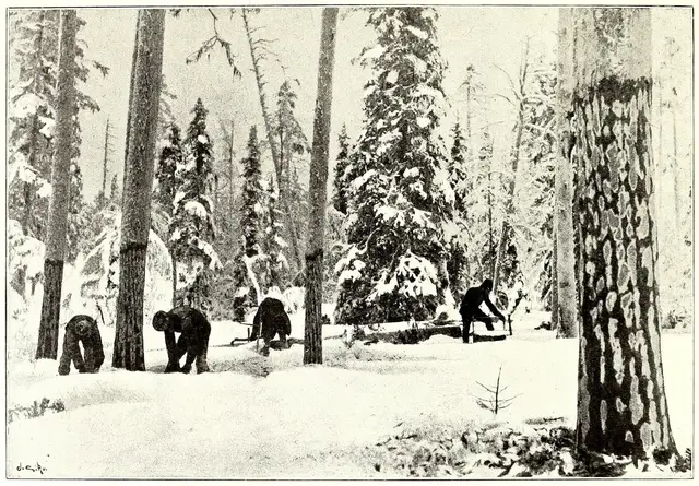 Illustration, sida 983