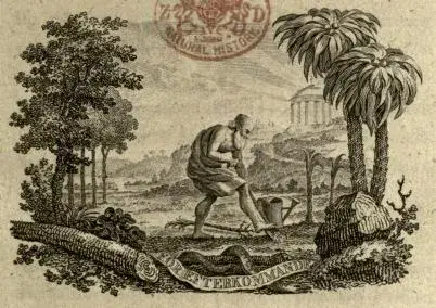 Illustration, sida vii