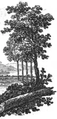 Illustration ur Årsberättelser om vetenskapernas framsteg: 1825 (1825), sida i