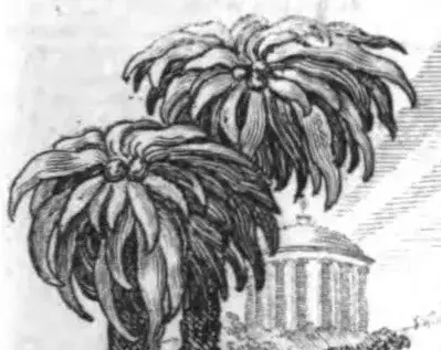 Illustration ur Årsberättelser om vetenskapernas framsteg: 1825 (1825), sida i