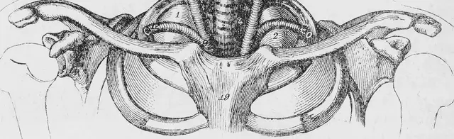 Illustration ur Läkarebok för alla : hälso- och sjukvårdslära i populär form (1893), sida 6