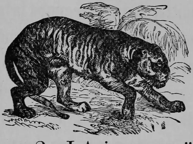 Illustration ur Barnens andra bok för skolan och hemmet (1893), sida 80