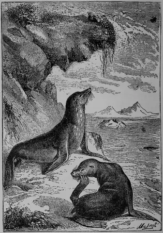 Illustration ur Barnens andra bok för skolan och hemmet (1893), sida 82