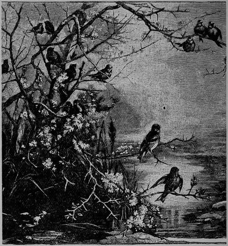 Illustration ur Barnens andra bok för skolan och hemmet (1893), sida 92
