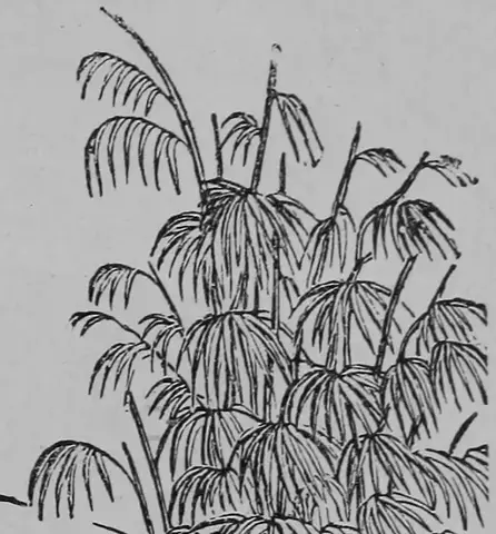 Illustration ur Barnens andra bok för skolan och hemmet (1893), sida 97