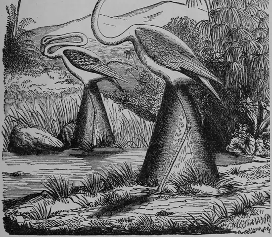 Illustration ur Barnens andra bok för skolan och hemmet (1893), sida 97