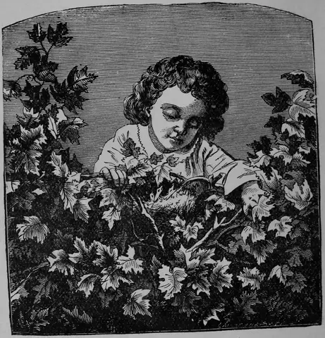 Illustration ur Barnens andra bok för skolan och hemmet (1893), sida 98
