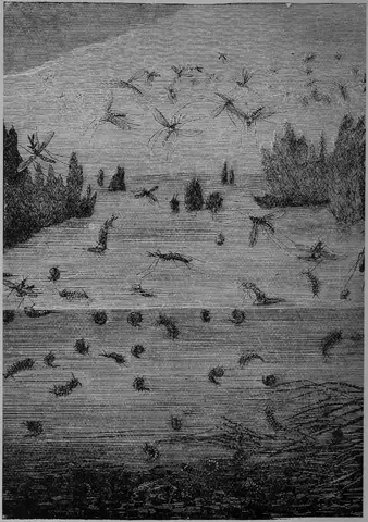 Illustration ur Barnens andra bok för skolan och hemmet (1893), sida 104