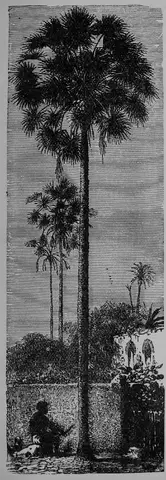 Illustration ur Barnens andra bok för skolan och hemmet (1893), sida 117