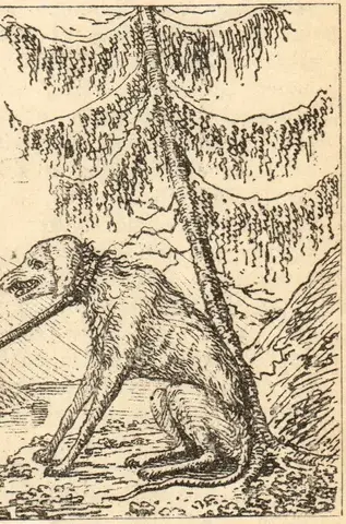Illustration ur August Blanche och hans samtid (1892), sida 315