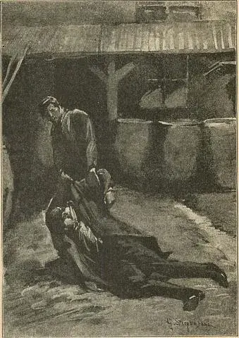 Illustration, sida 276