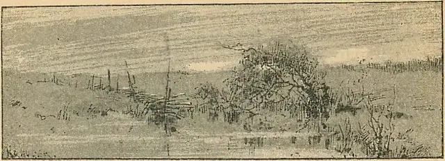 Illustration, sida 132