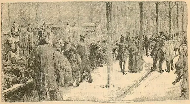 Illustration, sida 295