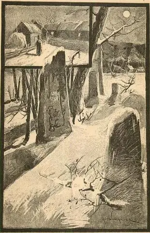 Illustration, sida 221