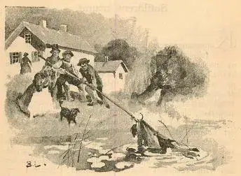 Illustration, sida 147
