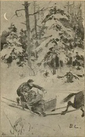 Illustration, sida 208