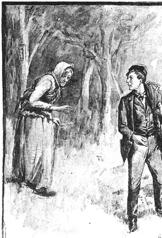 Illustration, sida 8