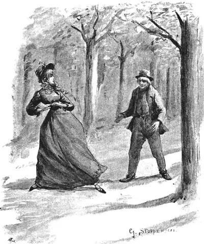 Illustration, sida 383