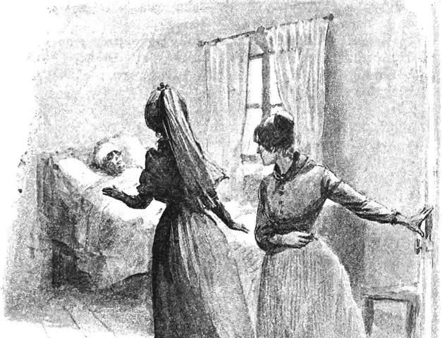 Illustration ur Blanche: Romaner 1. (1891), sida 409