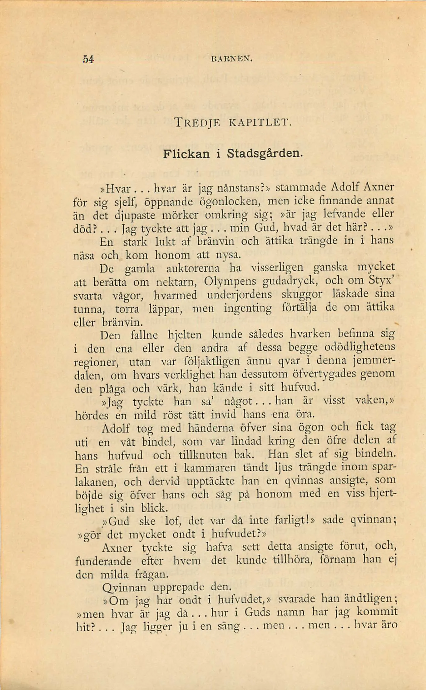 Skannad sida 56