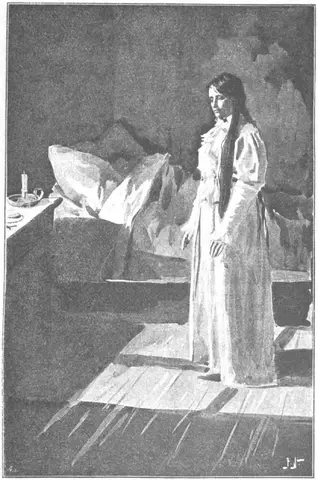 Illustration ur Blache: Romaner 2. (1891), sida 253