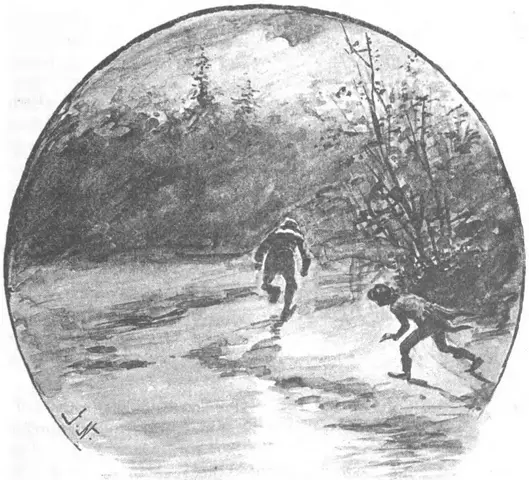 Illustration ur Blache: Romaner 2. (1891), sida 307