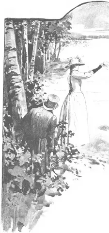 Illustration, sida 344