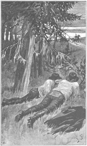 Illustration, sida 357