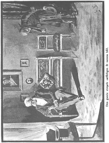 Illustration, sida 373