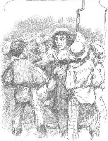 Illustration, sida 371