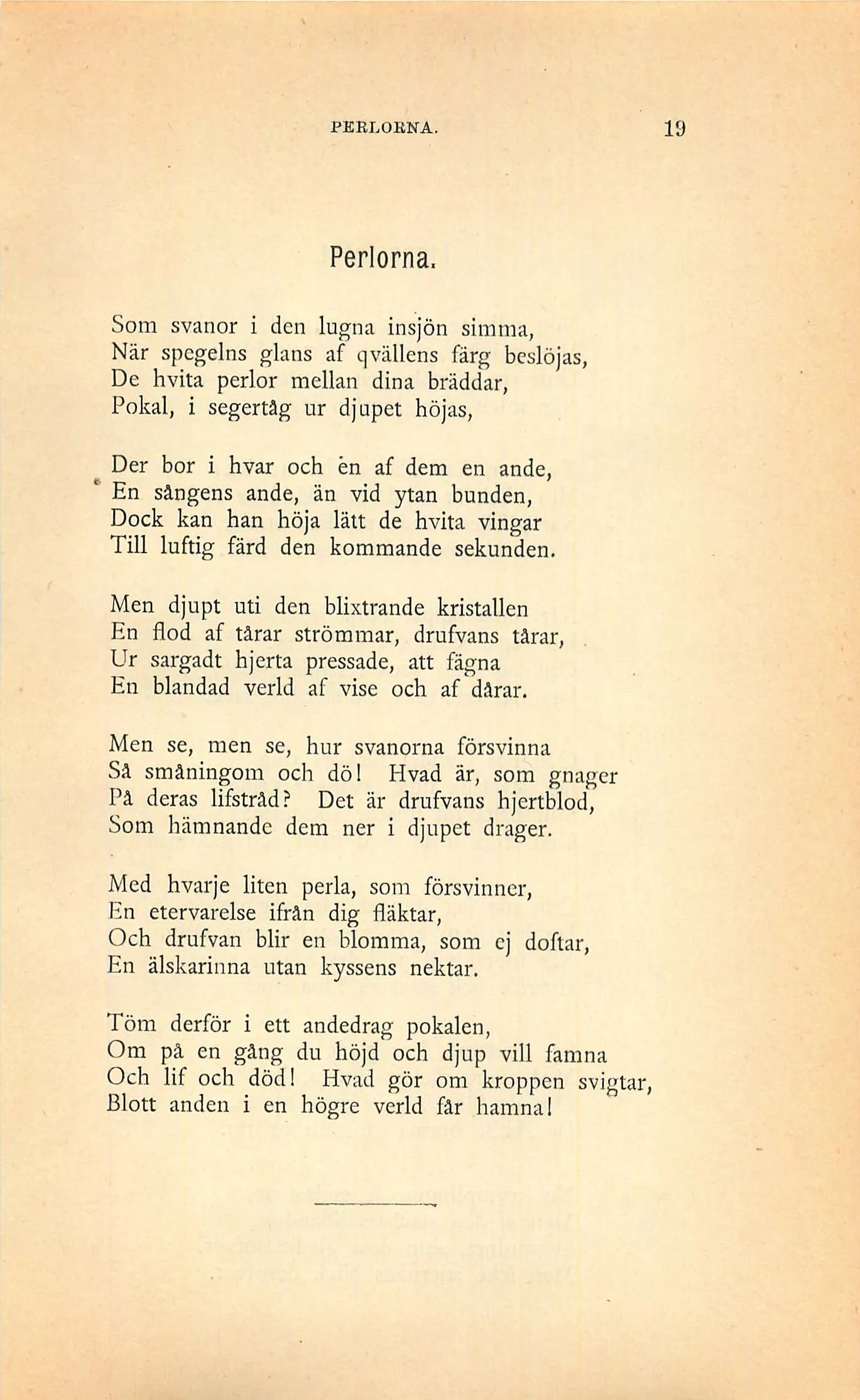 Skannad sida 19