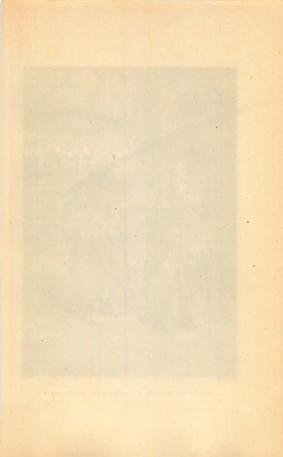 Originalsida 255