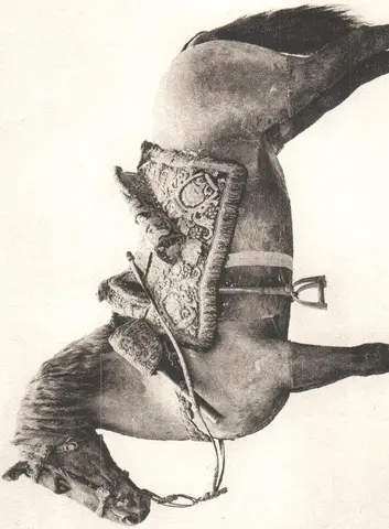 Illustration, sida 24