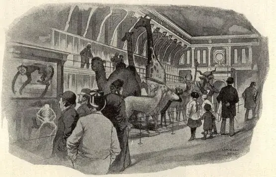 Illustration, sida 174