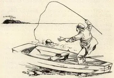 Illustration, sida 238