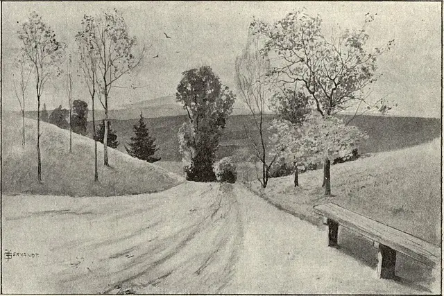Illustration, sida 512