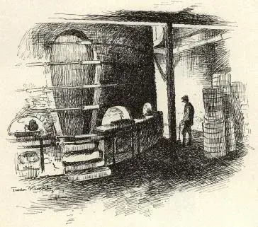 Illustration, sida 554