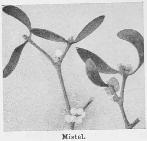 Illustration, sida 68
