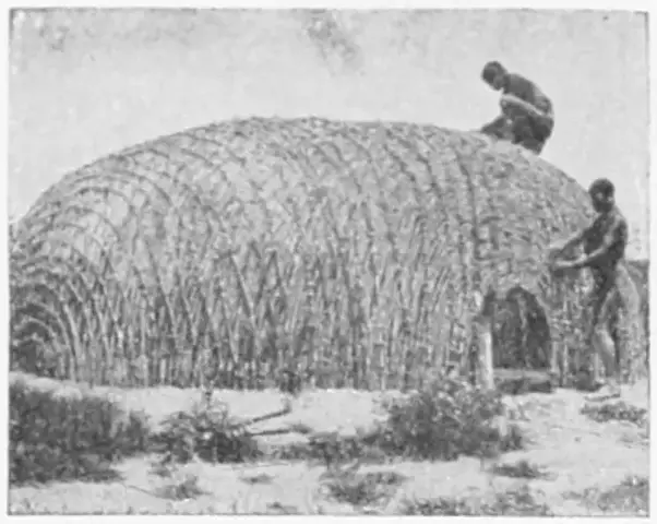 Illustration, sida 369