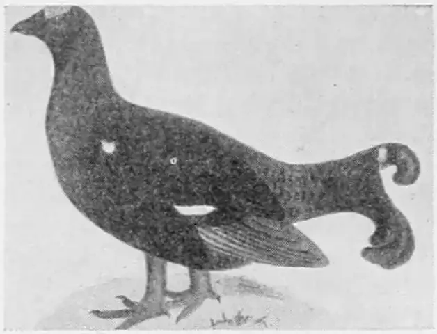Illustration ur Bonniers konversations lexikon (1937), sida 724