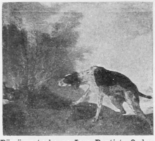 Illustration, sida 752