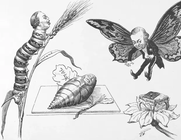 Illustration, sida 5