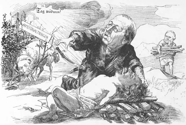 Illustration, sida 43