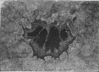Illustration, sida 63