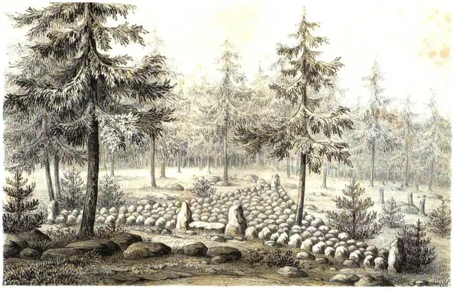 Illustration, sida 19
