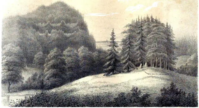 Illustration, sida 23