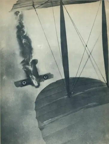 Illustration, sida 43