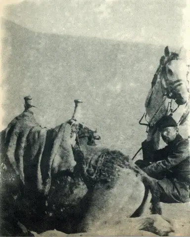 Illustration ur Världen i brand. En bokfilm över det stora kriget 1914-1918 (1935), sida 65