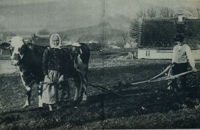 Illustration ur Världen i brand. En bokfilm över det stora kriget 1914-1918 (1935), sida 83